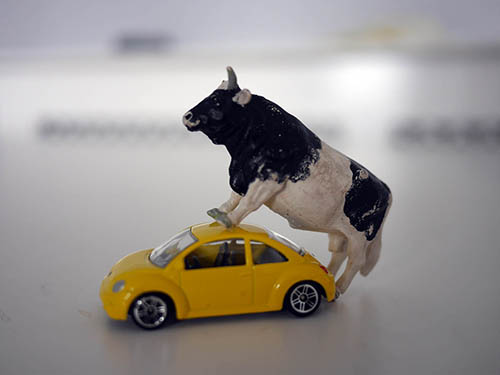 Theory of Art, a bull and a yellow car, photograph by Jay Rechsteiner
